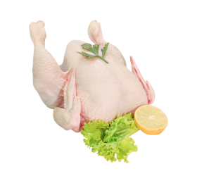 Fresh Full Chicken