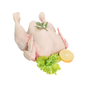 Fresh Full Chicken