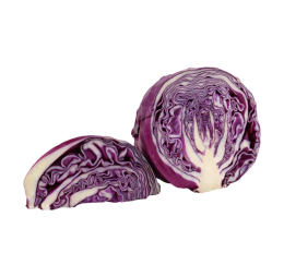 Sliced Purple Cabbage