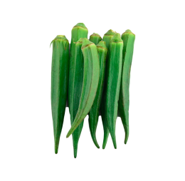 Green Lady Finger