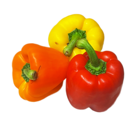 Mixed Vegan Capsicum