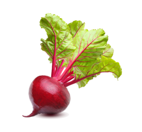 Vegan Fresh Radish